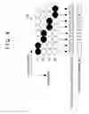 Fig. 11 - Transmission apparatus, reception apparatus and modulation method