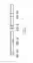 Fig. 04 - Systems and methods for multi-channel beacon transmission in a wireless network