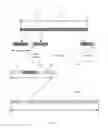 Fig. 03 - Certificate exchange mechanism for wireless networking