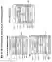 Fig. 17 - System and method for measuring performance and availability of applications utilizing monitoring of distributed systems processes combined with analysis of the network communication between the processes