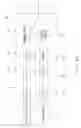 Fig. 24 - Electronic mail erroneous transmission prevention supporting device and electronic mail erroneous transmission prevention supporting method