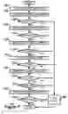 Fig. 08 - Using the ability to speak as a human interactive proof