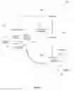 Fig. 06 - DECOY AND DECEPTIVE DATA OBJECT TECHNOLOGY