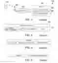 Fig. 03 - Distributing subscriber data in a mobile data network