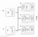 Fig. 17 - Load balanced network file accesses