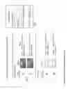 Fig. 42 - Hybrid applications utilizing distributed models and views apparatuses, methods and systems