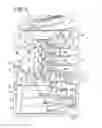 Fig. 02 - Image processing apparatus and computer-readable recording medium storing program