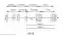 Fig. 07 - Synchronized capture of image and non-image sensor data