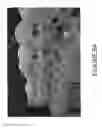 Fig. 20 - Video refocusing