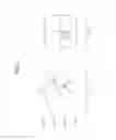 Fig. 04 - Image encoding/decoding method using prediction block and apparatus for same