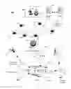 Fig. 01 - Method and apparatus for presenting media content