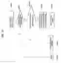 Fig. 50 - BROADCASTING SIGNAL TRANSMISSION APPARATUS, BROADCASTING SIGNAL RECEPTION APPARATUS, BROADCASTING SIGNAL TRANSMISSION METHOD, AND BROADCASTING SIGNAL RECEPTION METHOD