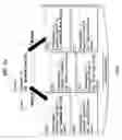 Fig. 53 - BROADCASTING SIGNAL TRANSMISSION APPARATUS, BROADCASTING SIGNAL RECEPTION APPARATUS, BROADCASTING SIGNAL TRANSMISSION METHOD, AND BROADCASTING SIGNAL RECEPTION METHOD