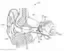 Fig. 01 - Optical electro-mechanical hearing devices with separate power and signal components