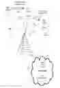 Fig. 01 - Methods and devices for supporting transfer processes of data in wireless communications network