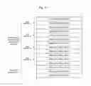 Fig. 04 - BASE STATION, SERVER, SYSTEM AND WIRELESS RESOURCE ALLOCATION METHOD