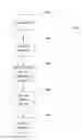 Fig. 01 - Random access procedures in wireless system
