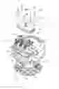 Fig. 01 - Electronics unit