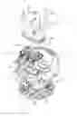 Fig. 02 - Electronics unit
