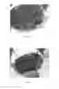 Fig. 09 - CROP MATERIAL
