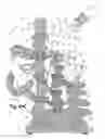 Fig. 71 - Shape-shifting self-draining indoor-outdoor exercise pet tree, having rotatable slanting logs, rotatable slanting steps, rotatable slanting branches, rotatable slanting houses, rotatable slanting accessories, and rotatable slanting wheels