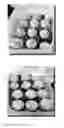 Fig. 01 - A BIOCONTROL COMBINATION AND METHOD FOR IMPROVING QUALITY OF SHELLED EGGS