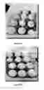 Fig. 02 - A BIOCONTROL COMBINATION AND METHOD FOR IMPROVING QUALITY OF SHELLED EGGS