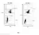 Fig. 03 - Animal models and therapeutic molecules