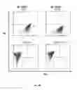 Fig. 05 - Animal models and therapeutic molecules