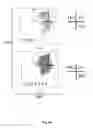 Fig. 12 - Animal models and therapeutic molecules