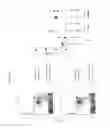 Fig. 16 - Animal models and therapeutic molecules