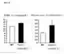 Fig. 10 - Transgenic mouse expressing kidney-specific human TGF-beta1, and biomarker for tissue fibrosis mouse model