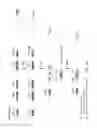 Fig. 05 - Genetically modified major histocompatibility complex mice