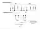 Fig. 11 - Genetically modified major histocompatibility complex mice