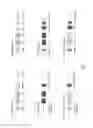 Fig. 12 - Genetically modified major histocompatibility complex mice