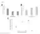 Fig. 03 - Compositions and method for storing liquid biospecimens