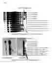 Fig. 04 - Compositions and method for storing liquid biospecimens