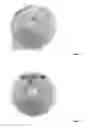 Fig. 02 - COATING FORMULATION FOR SEED AND SURFACE STERILIZATION