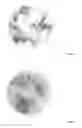 Fig. 05 - COATING FORMULATION FOR SEED AND SURFACE STERILIZATION
