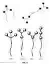 Fig. 03 - Triscationic amphiphile compounds, compositions, and methods for making same