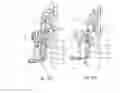 Fig. 10 - Evisceration apparatus and a method for eviscerating suspended poultry