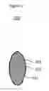 Fig. 03 - PRODUCTION OF CONFECTIONERY USING SUCCESSIVELY OPTIMIZED MOLDING POWDER AND CONFECTIONERY OBTAINABLE THEREBY