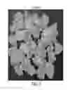 Fig. 04 - COATING COMPOSITIONS FOR CONSUMABLE ARTICLES