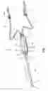 Fig. 03 - MEDICAL DEVICE INTRODUCTION SYSTEM AND ASSOCIATED IMAGING SYSTEM AND METHOD