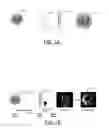 Fig. 02 - Coherent optical imaging for detecting neural signatures and medical imaging applications using holographic imaging techniques