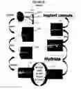 Fig. 43 - Coated sensors, and corresponding systems and methods