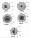 Fig. 49 - Coated sensors, and corresponding systems and methods
