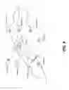 Fig. 09 - FACIAL TEXTURE MAPPING TO VOLUME IMAGE