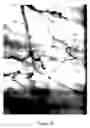 Fig. 12 - X-ray image feature detection and registration systems and methods