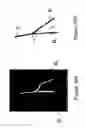 Fig. 19 - X-ray image feature detection and registration systems and methods